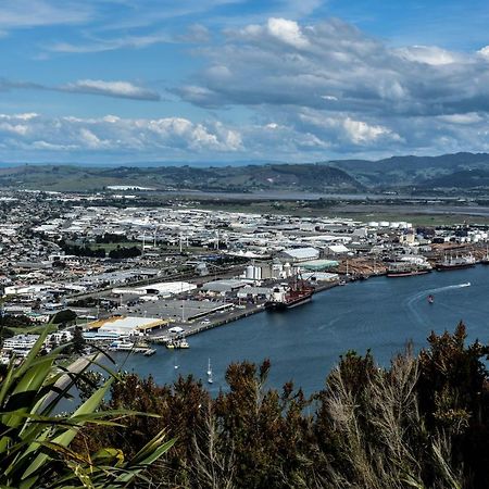 Up In The Stars B&B Tauranga Esterno foto